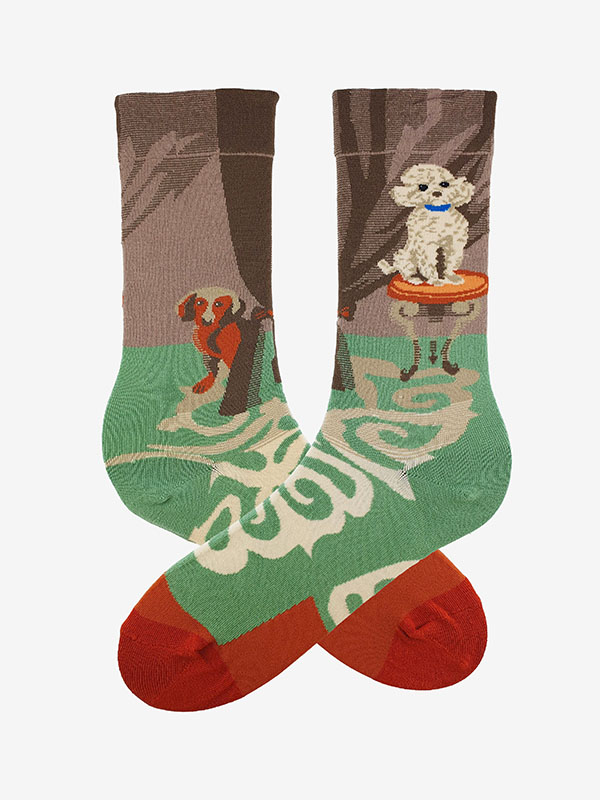 SOCKS SL F41