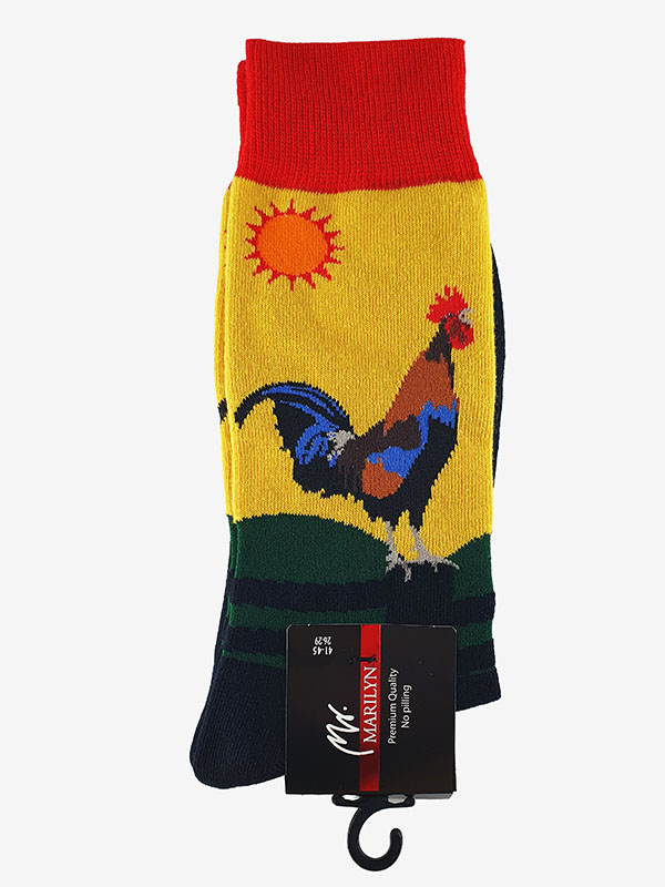 HERRENSOCKEN F54
