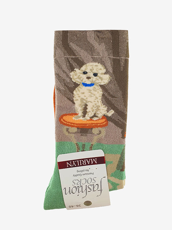SOCKS SL F41