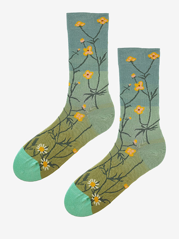 SC F75 SOCKS
