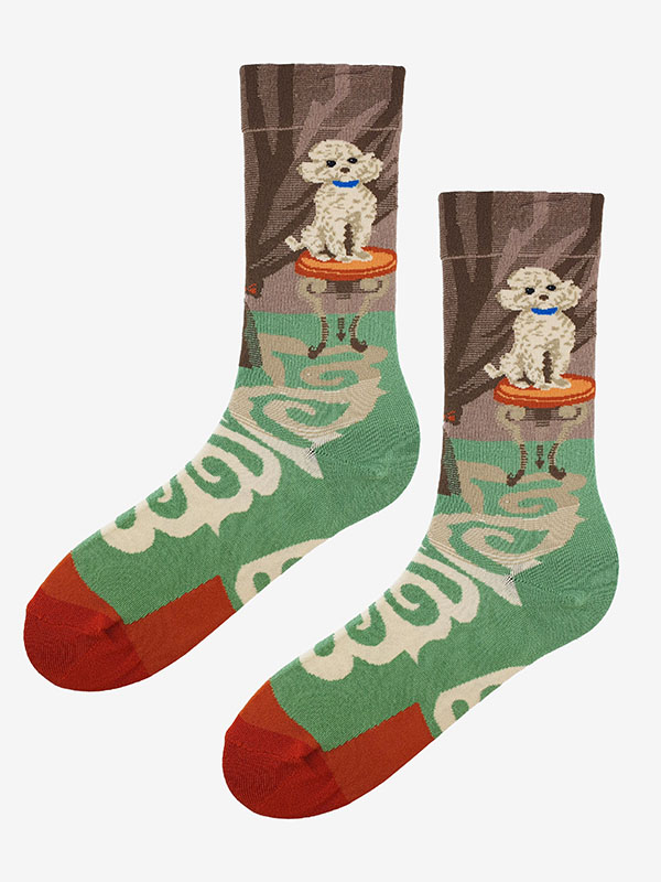 SOCKS SL F41