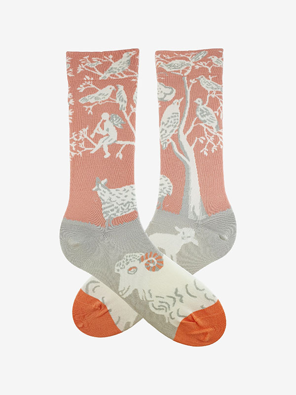 SC F76 SOCKEN