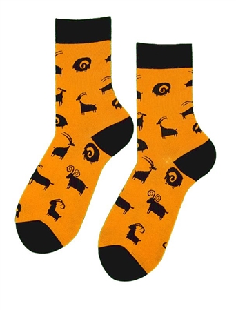 MEN CUCKOLDS SOCKS