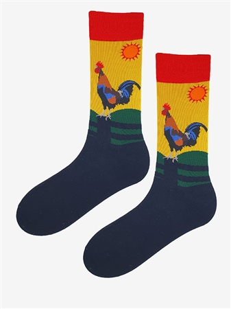 HERRENSOCKEN F54