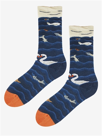 SC F46 SOCKS