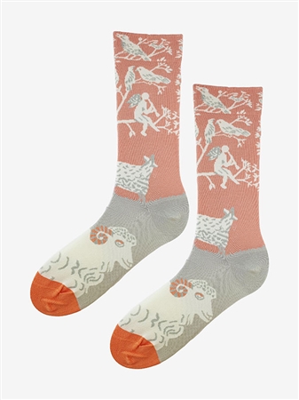 SC F76 SOCKEN