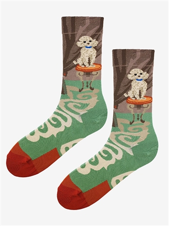 SOCKS SL F41